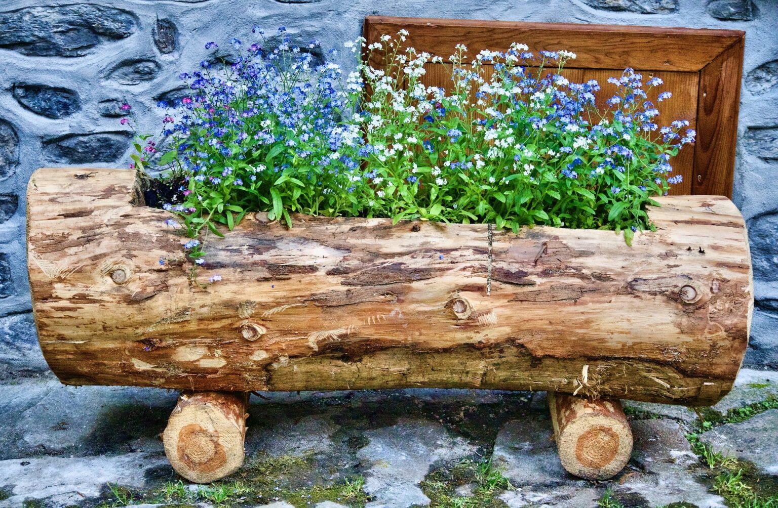 Come Arredare Un Giardino Con I Tronchi Di Legno La Passione Di Arredare