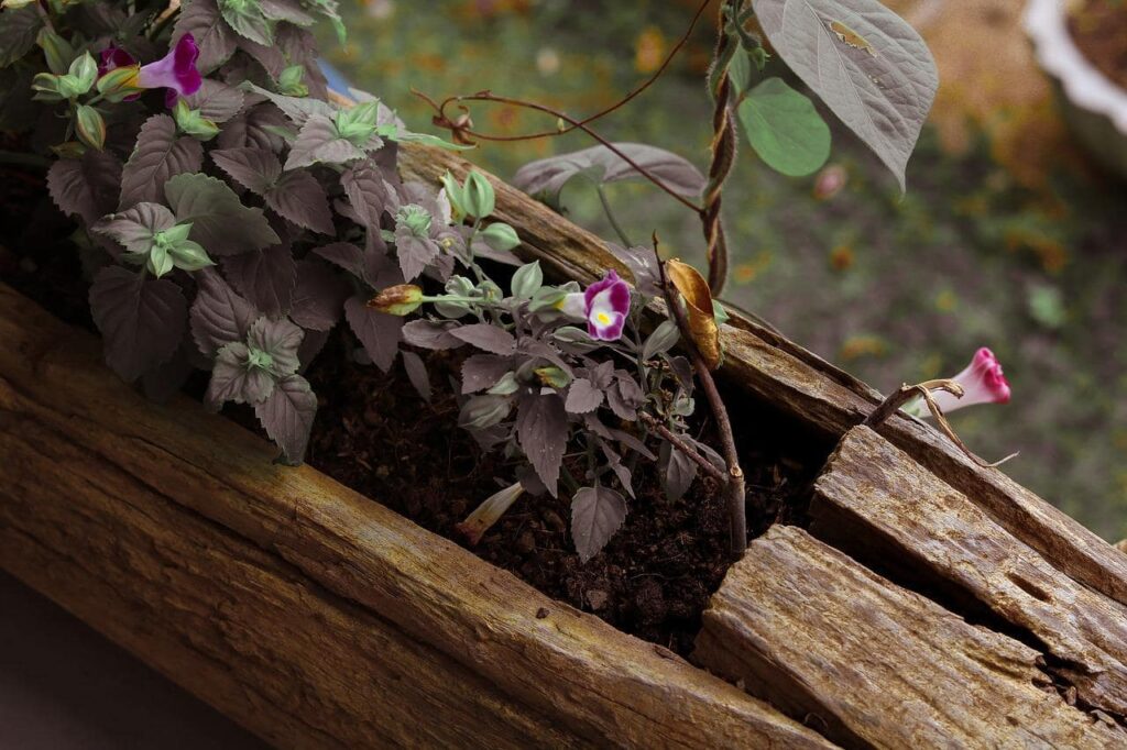 Con pochi attrezzi e materiali riciclabili è possibile realizzare bellissime decorazioni in stile rustico